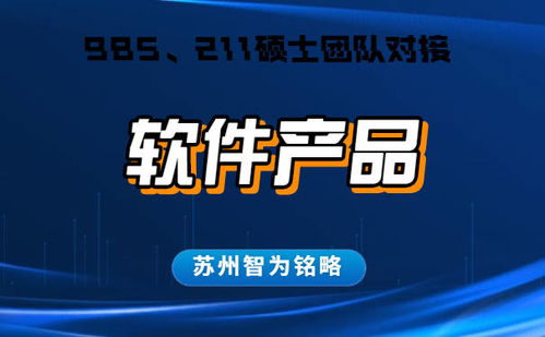 蘇州企業軟件產品認定申請指南 詳解流程、條件與“不成功不收費”服務模式