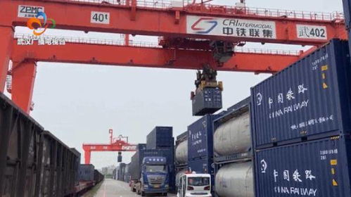 降成本,省時間 武漢啟用這條通道