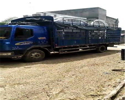 物流供應(yīng) 里水到全州縣貨運推薦2021 免費提送